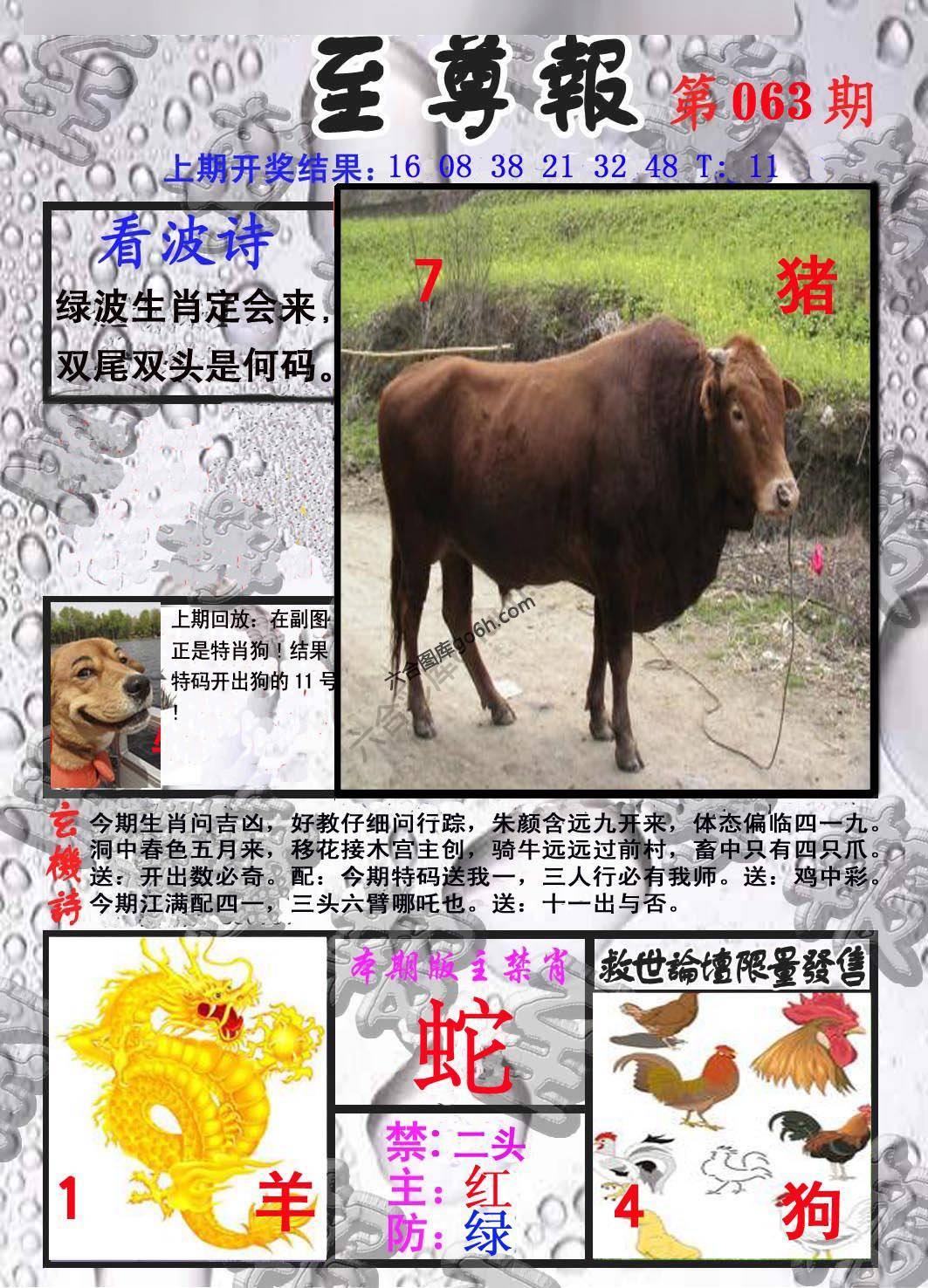 至尊报