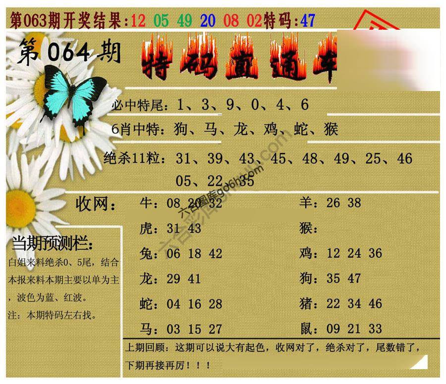 特码直通车