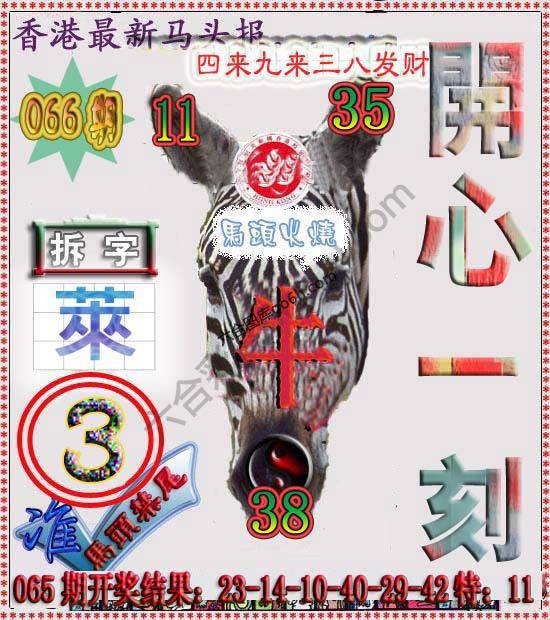 香港马头报