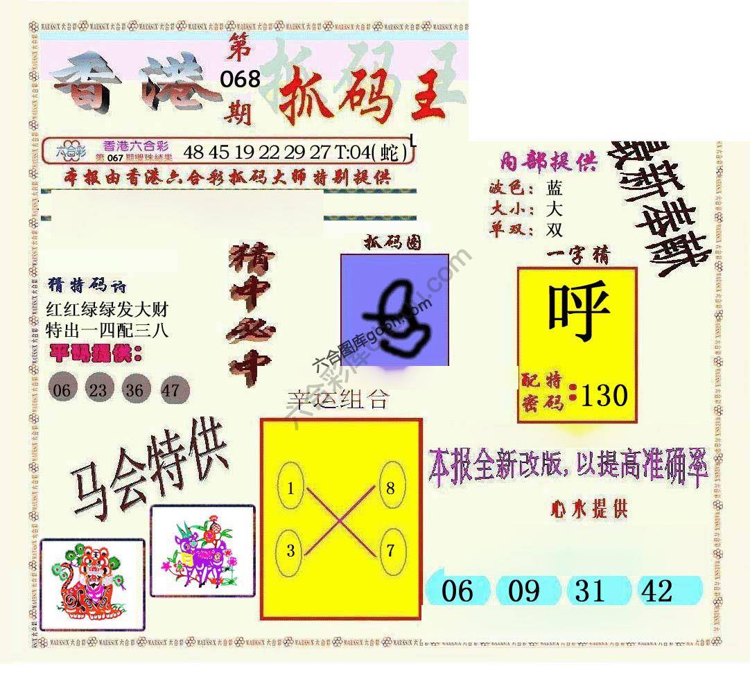 新抓码王