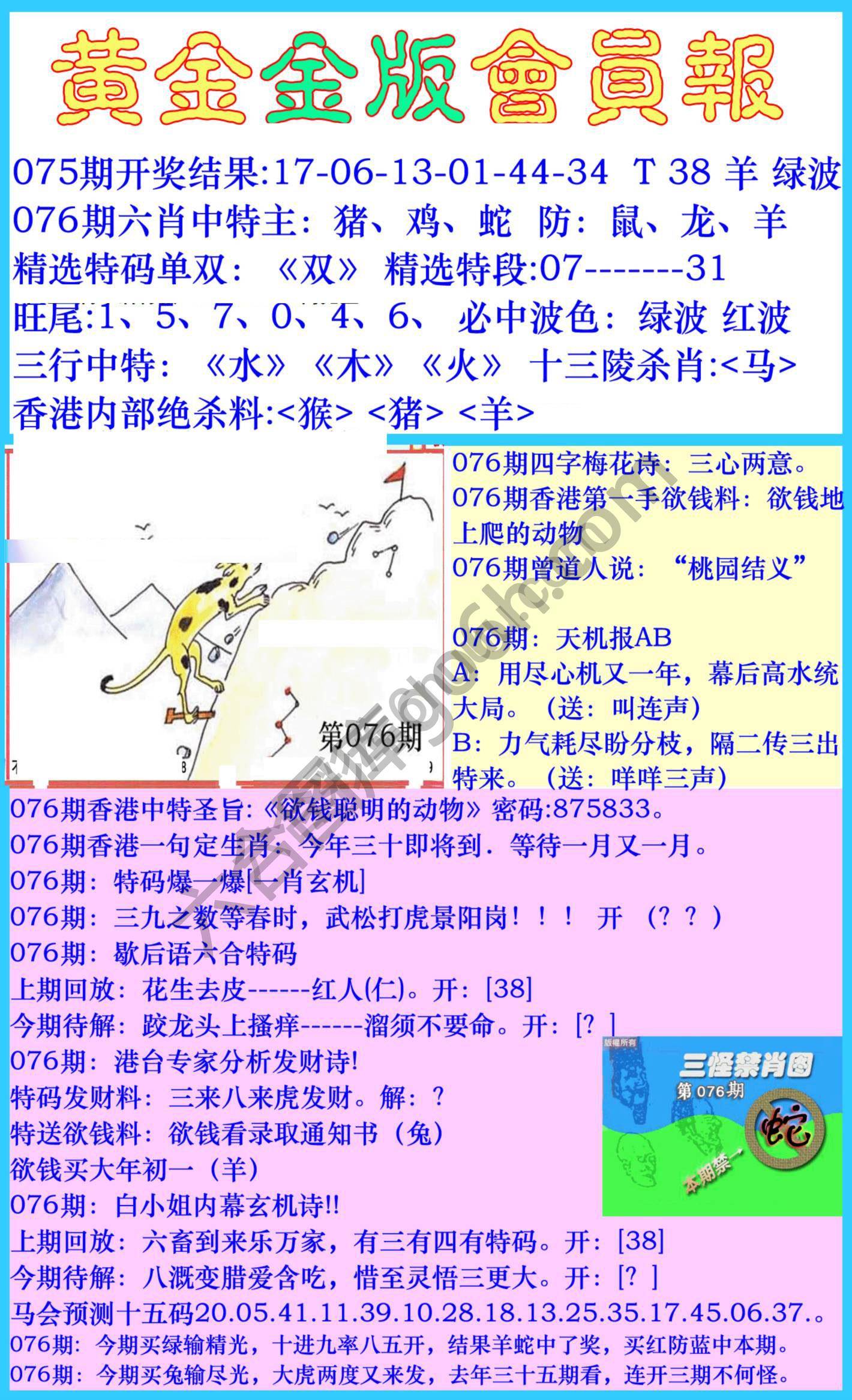 黄金金版会员报