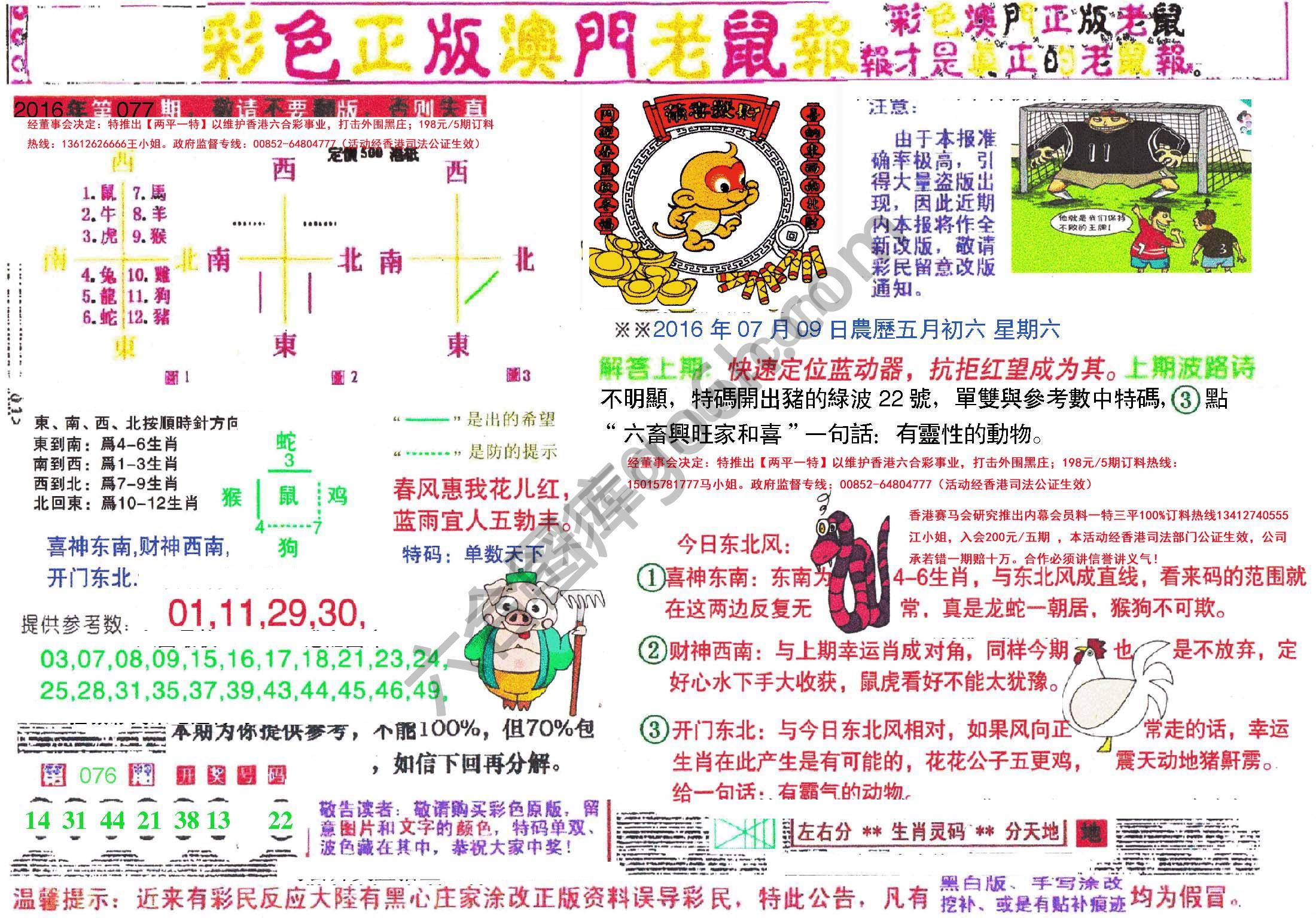澳门老鼠报