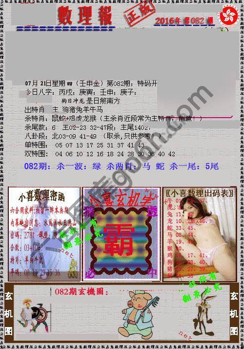 数理报