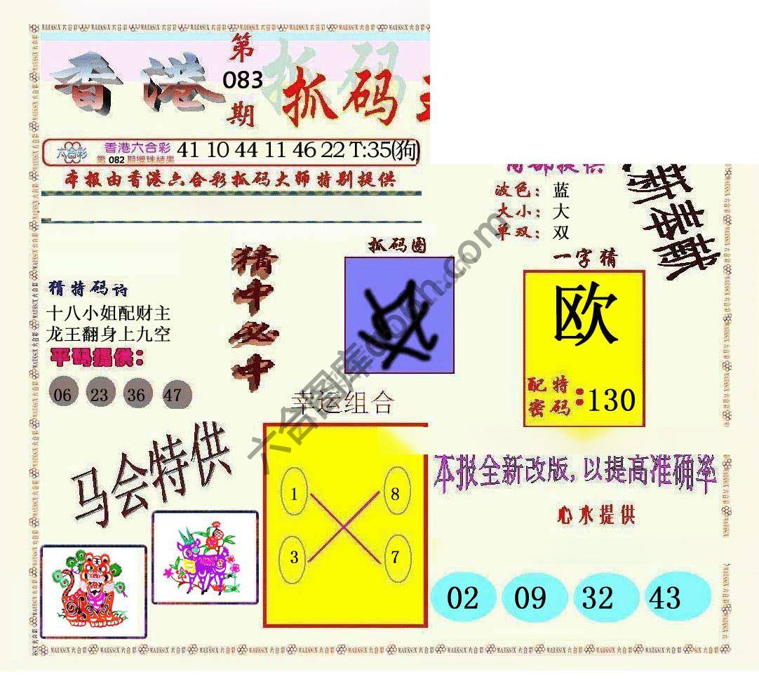 新抓码王