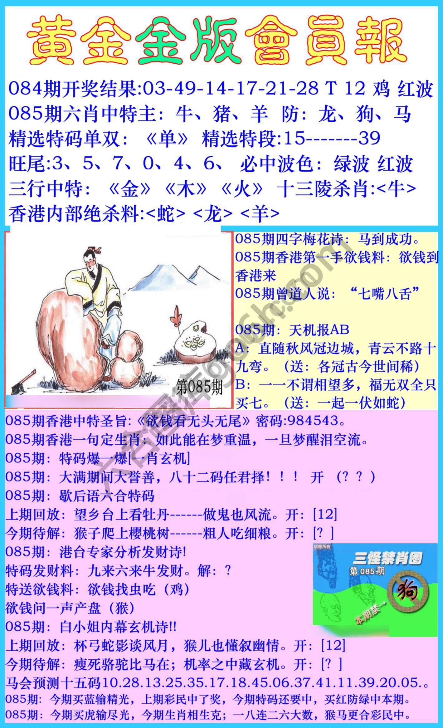 黄金金版会员报