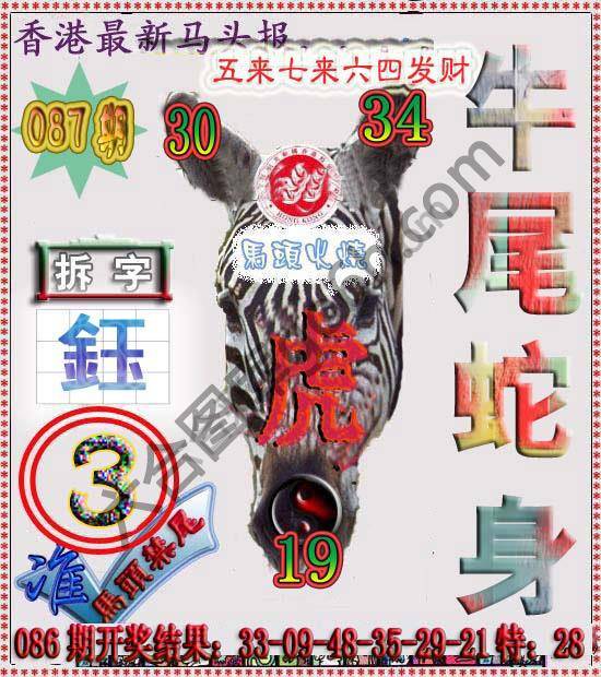 香港马头报