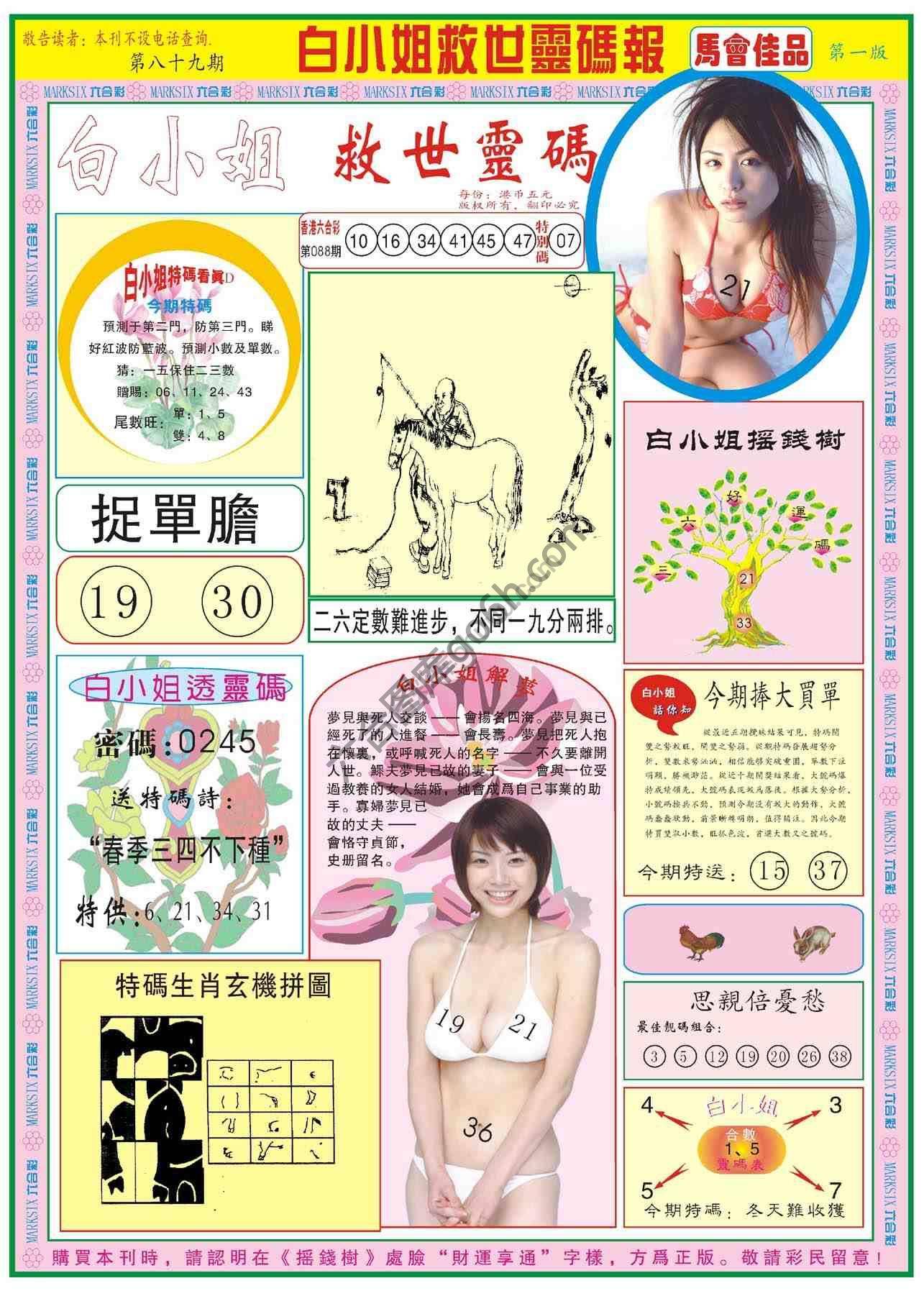 白小姐救世灵码报