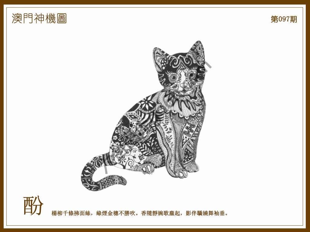 澳门神机图