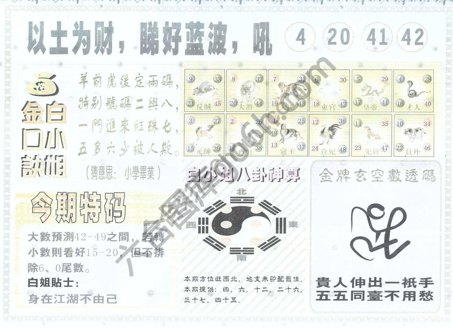 白姐内幕