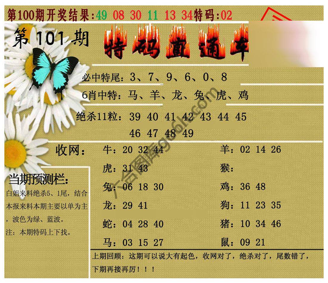 特码直通车
