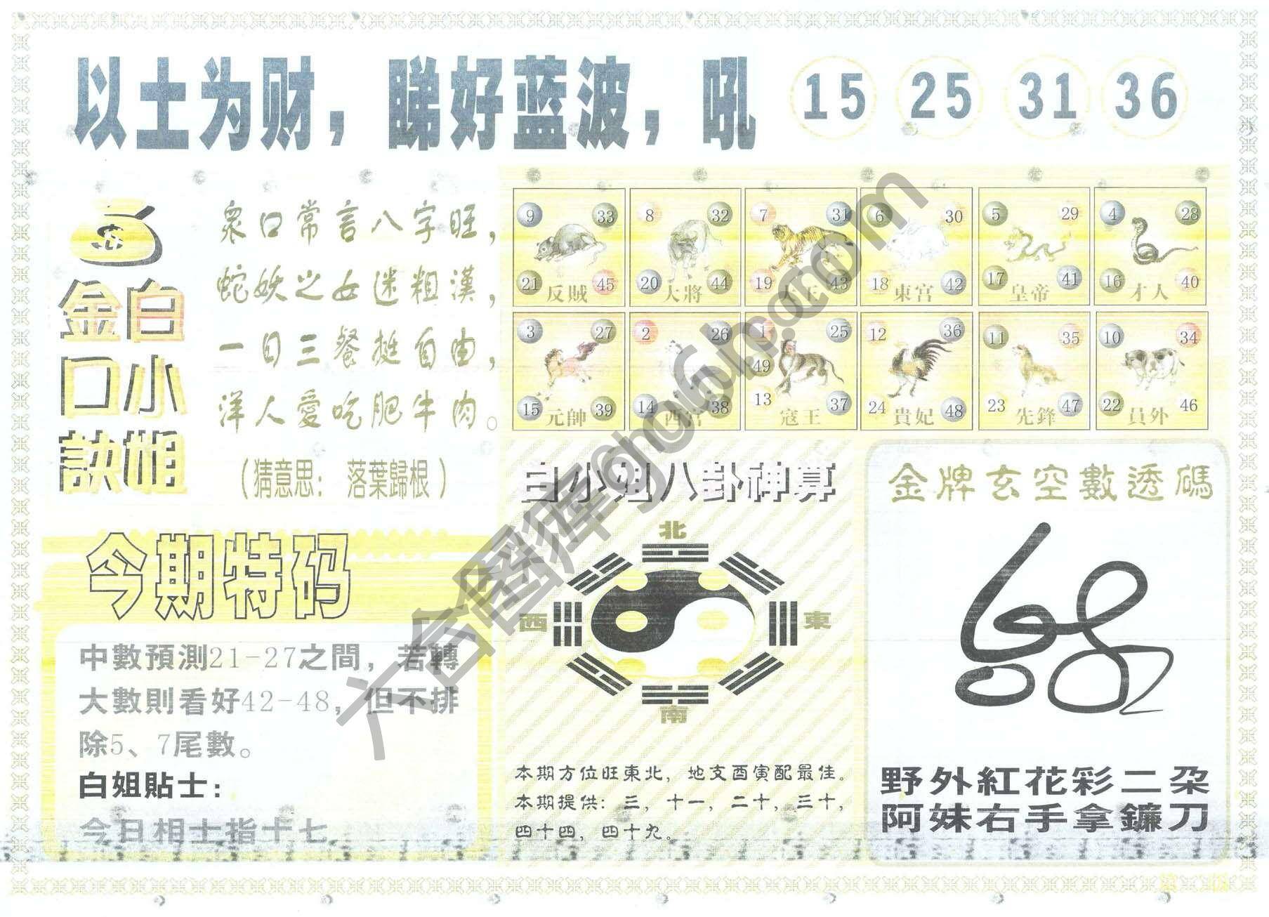 白姐内幕