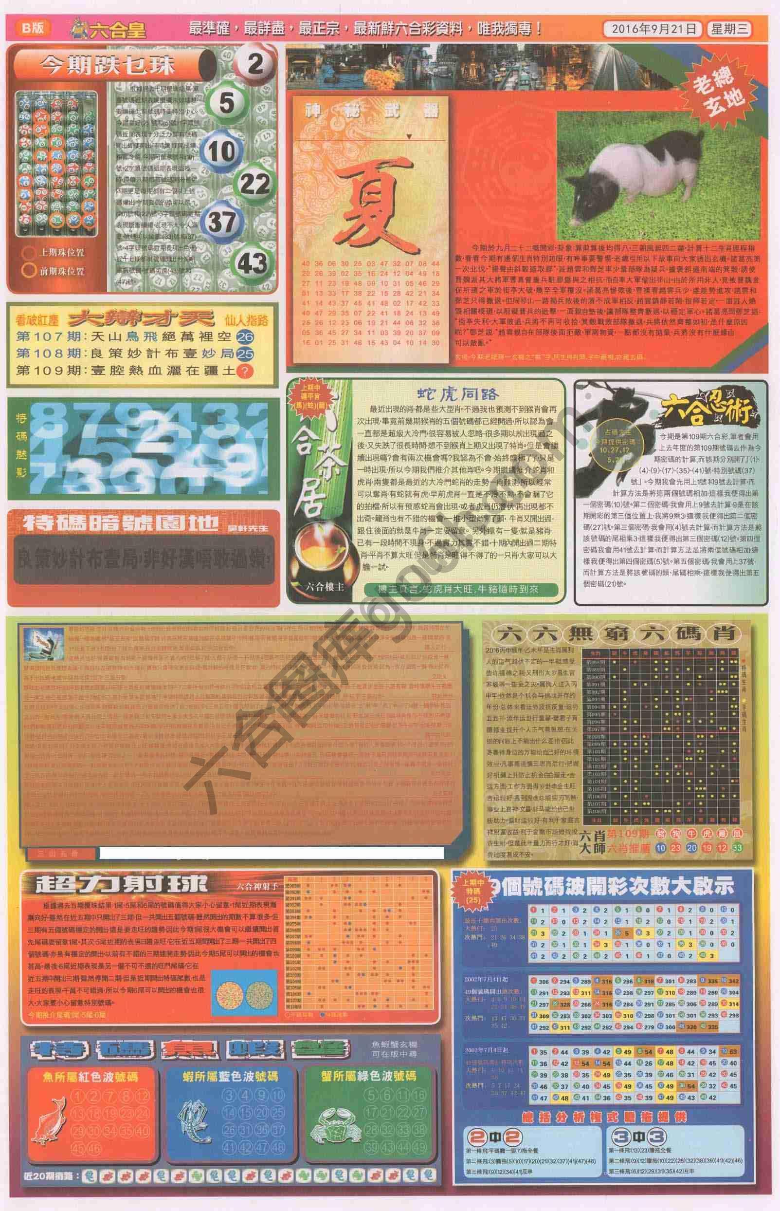 六合皇