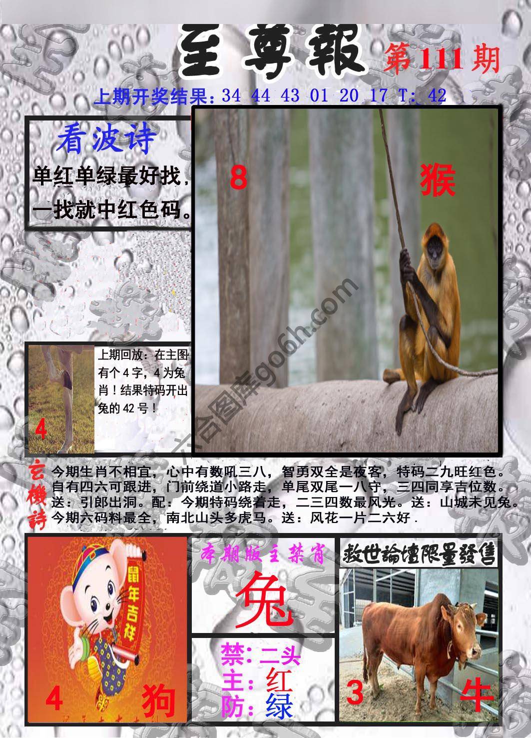 至尊报