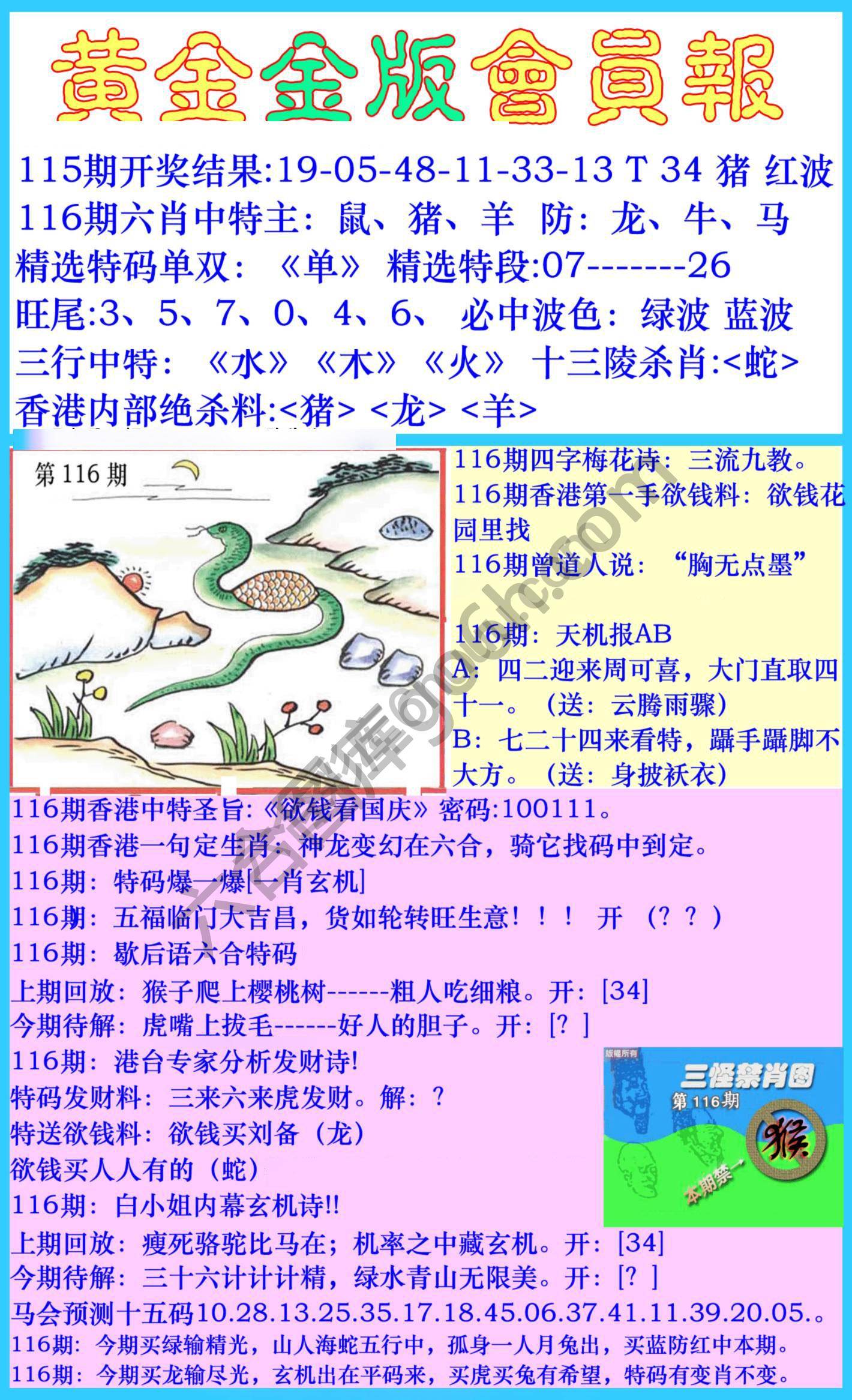 黄金金版会员报