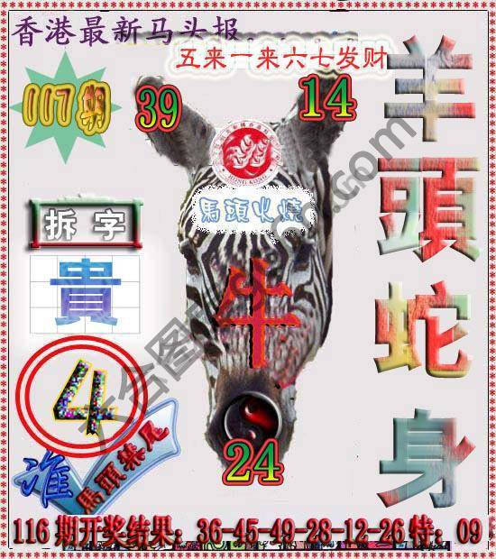 香港马头报