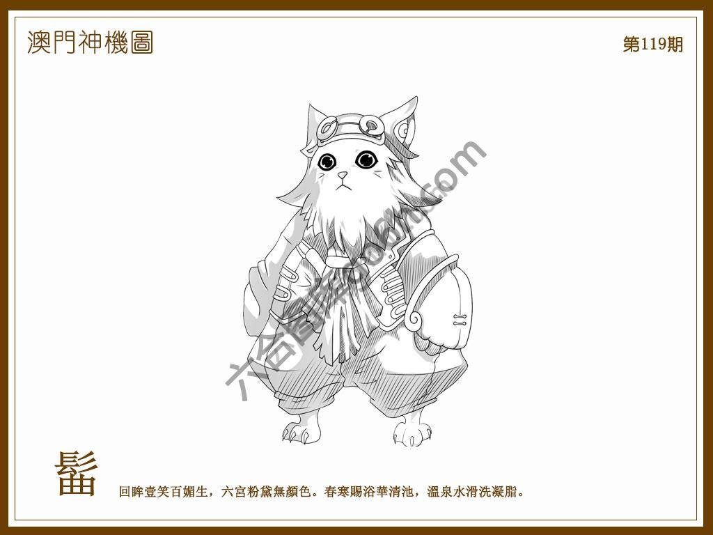 澳门神机图