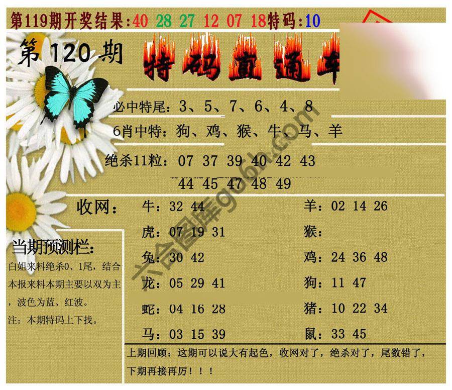 特码直通车