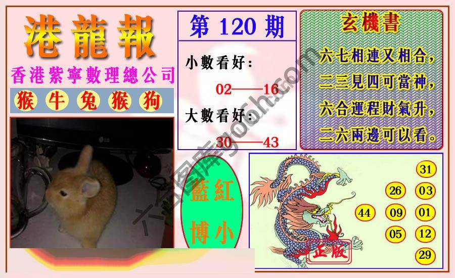 港龙报