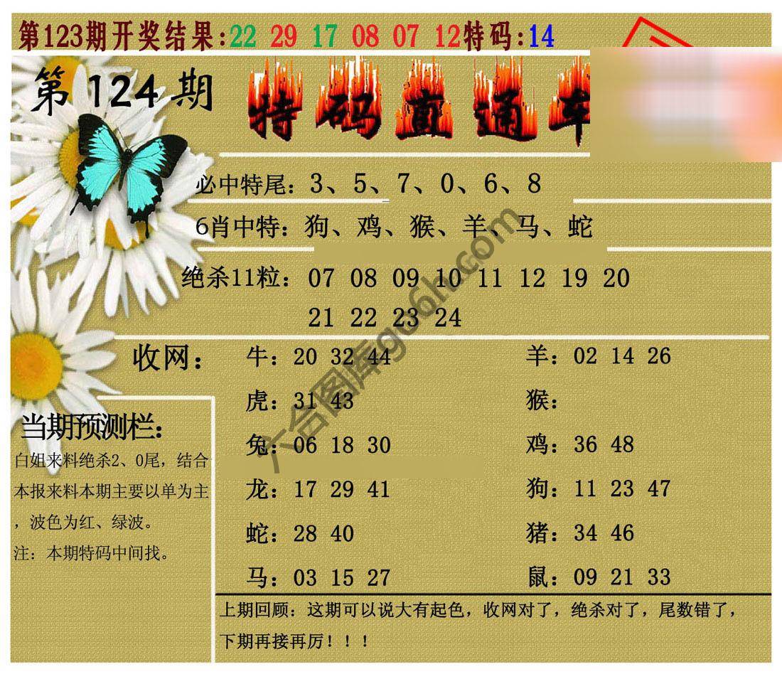 特码直通车