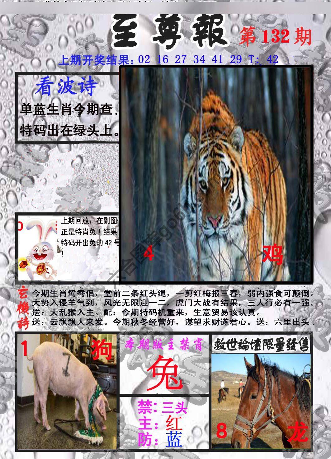 至尊报