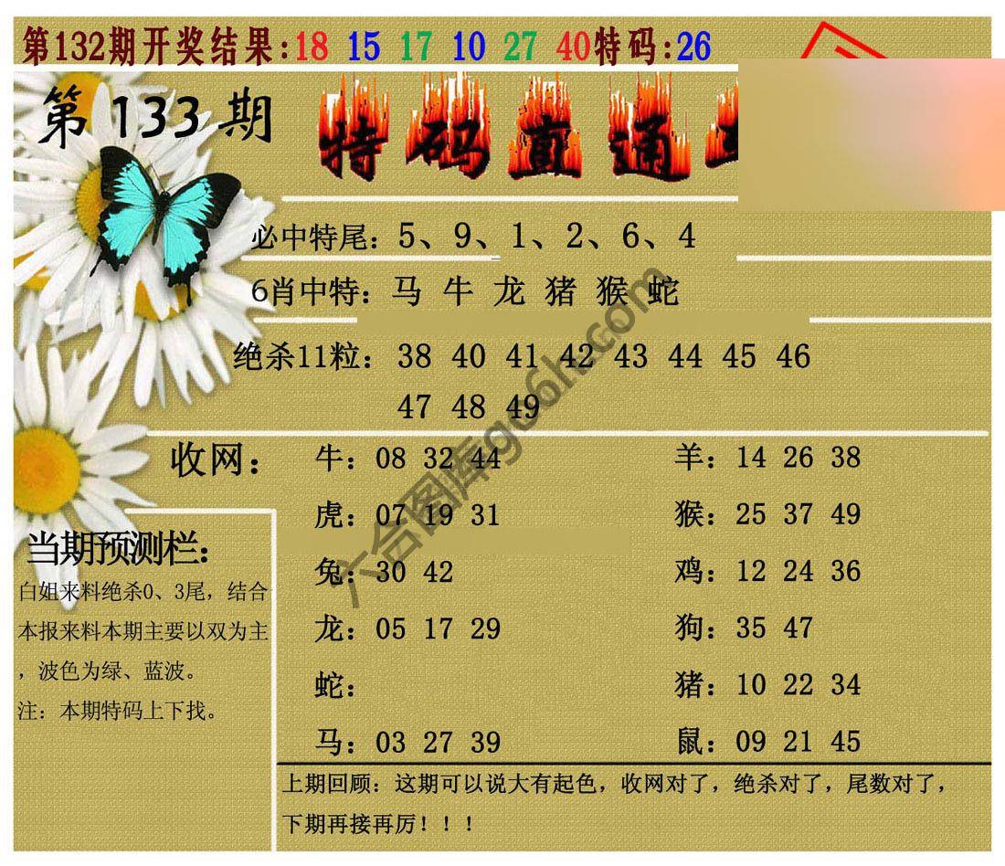 特码直通车