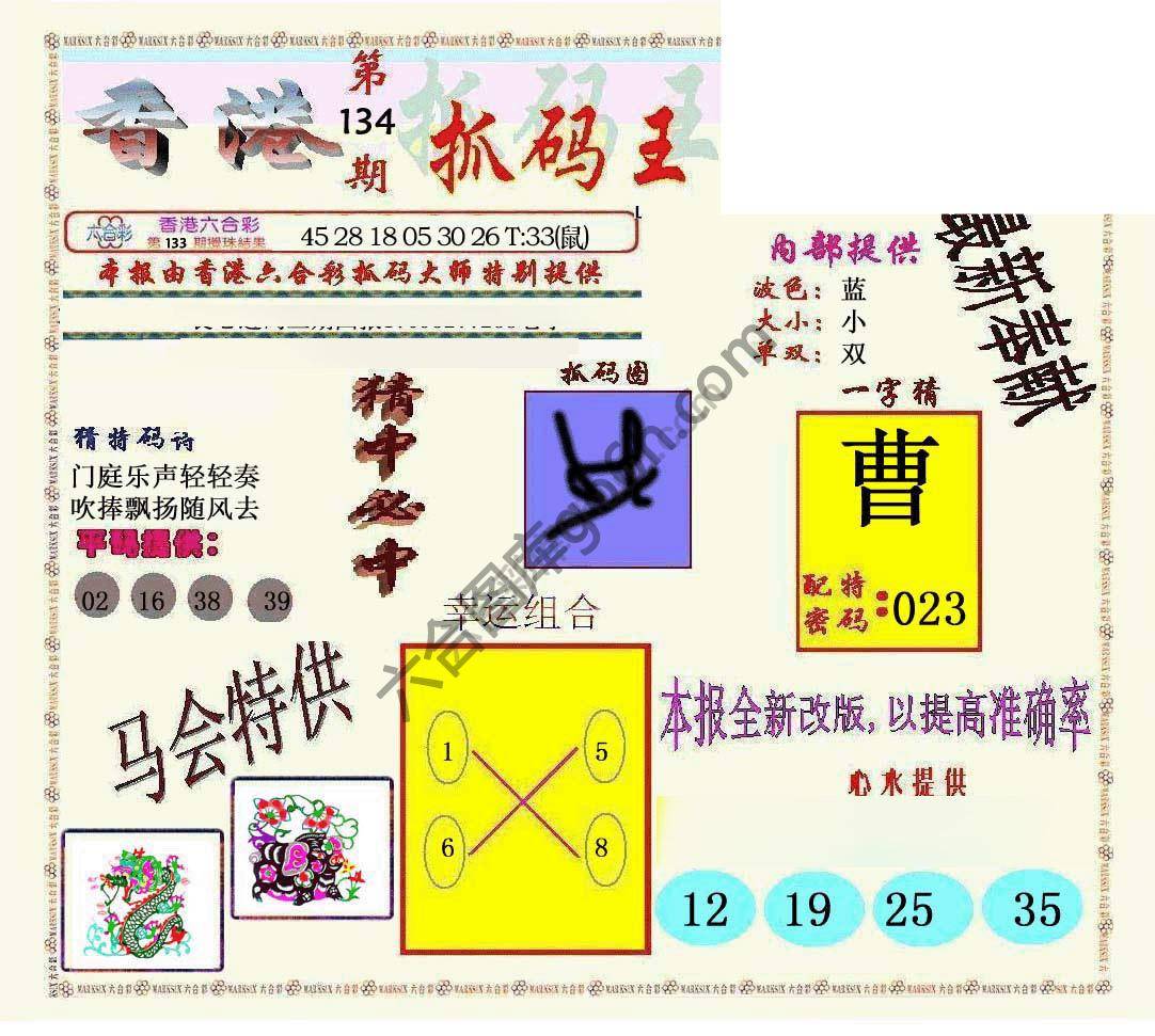 新抓码王