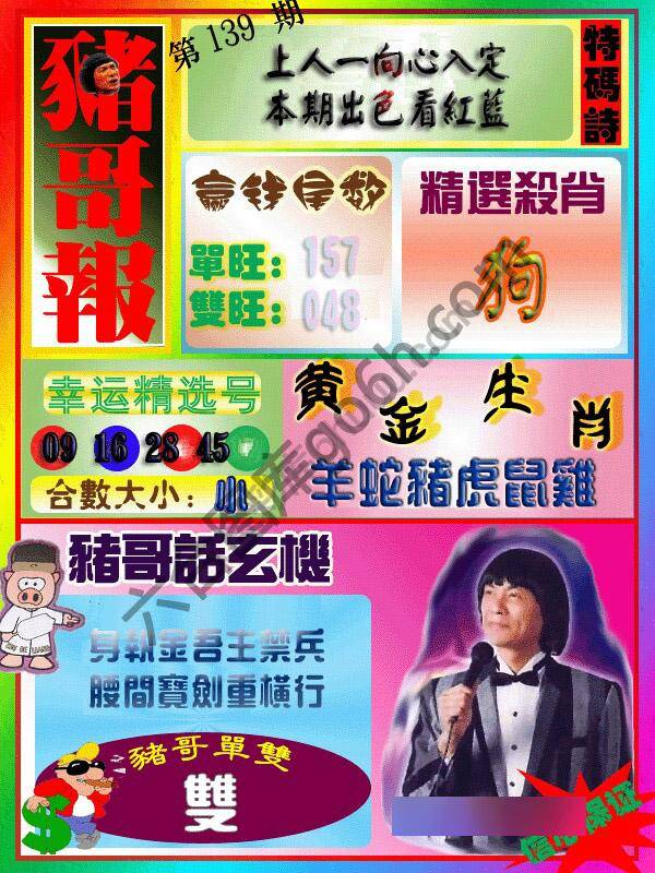 猪哥报