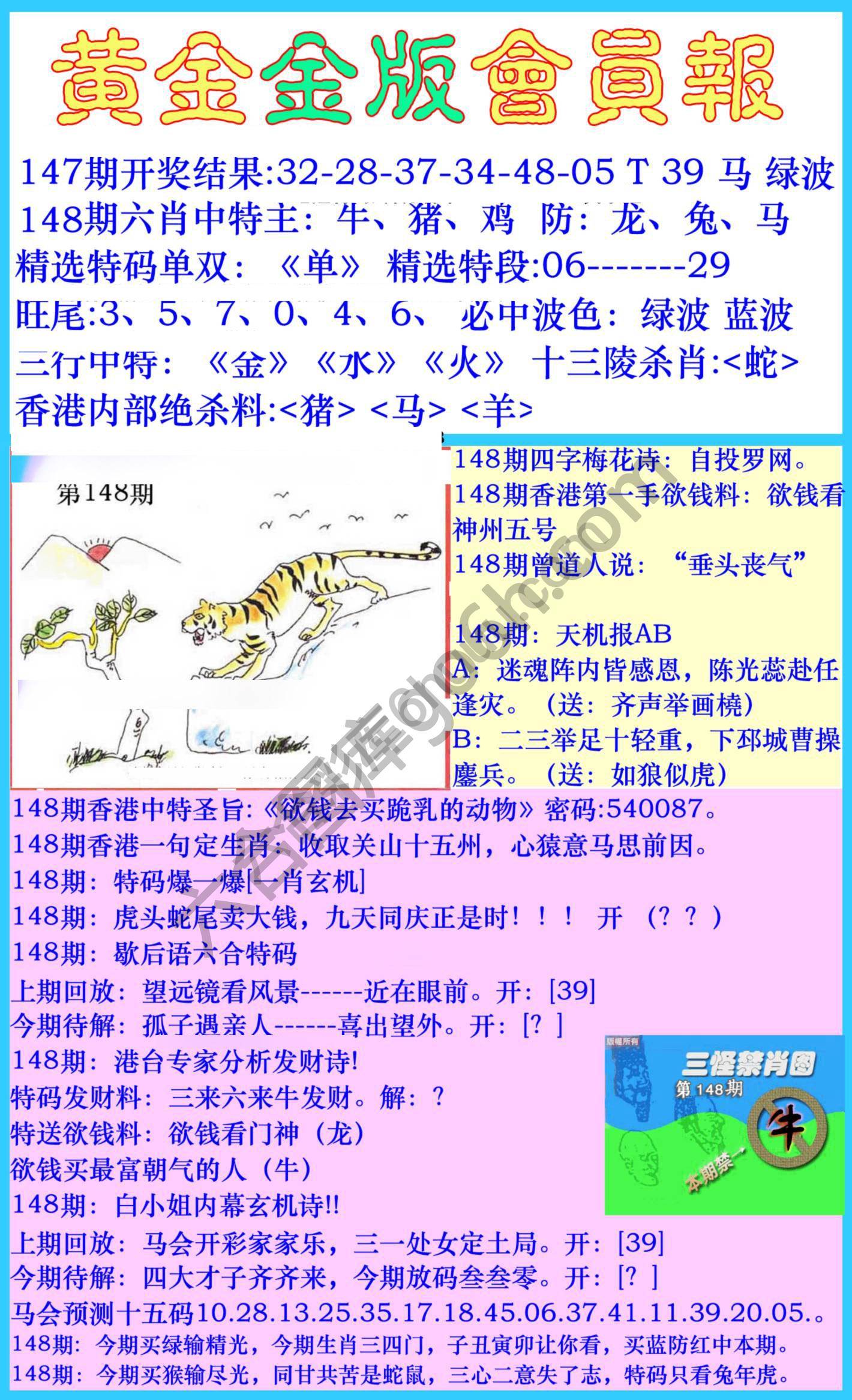 黄金金版会员报