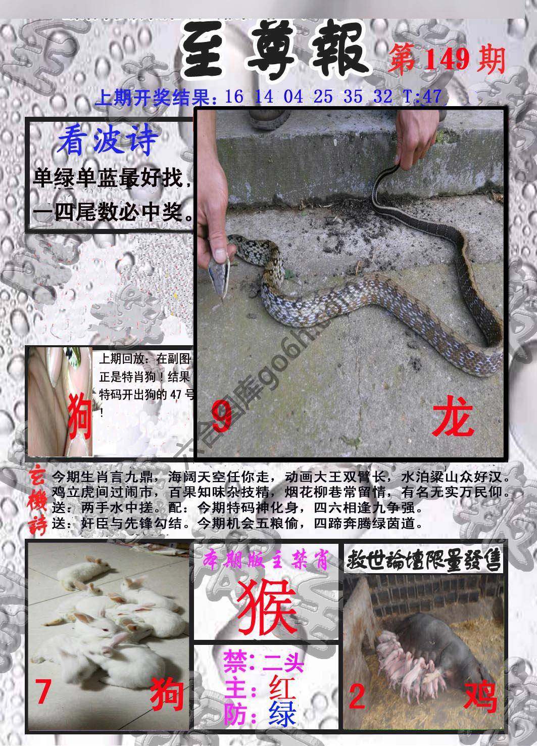 至尊报