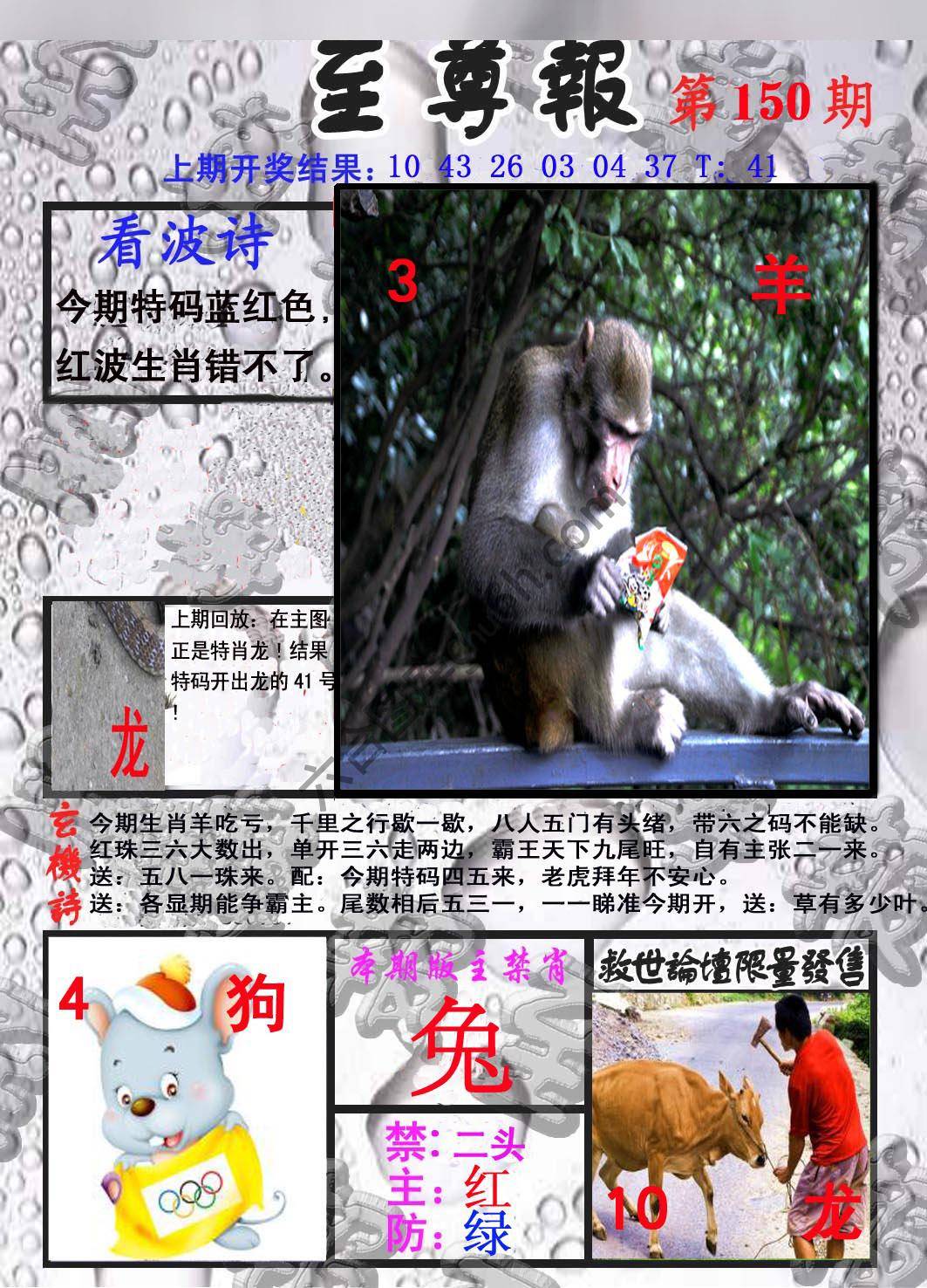 至尊报