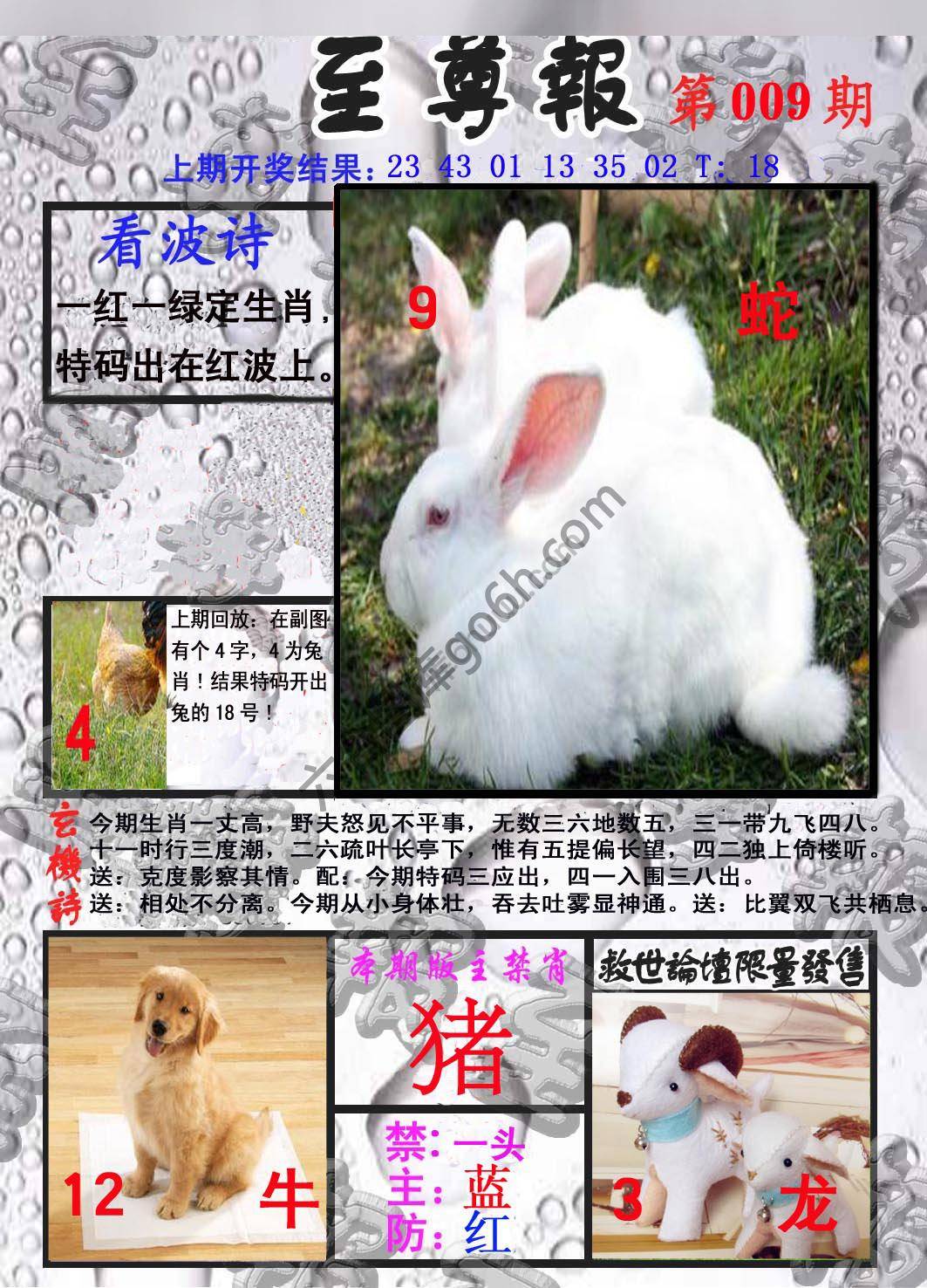 至尊报