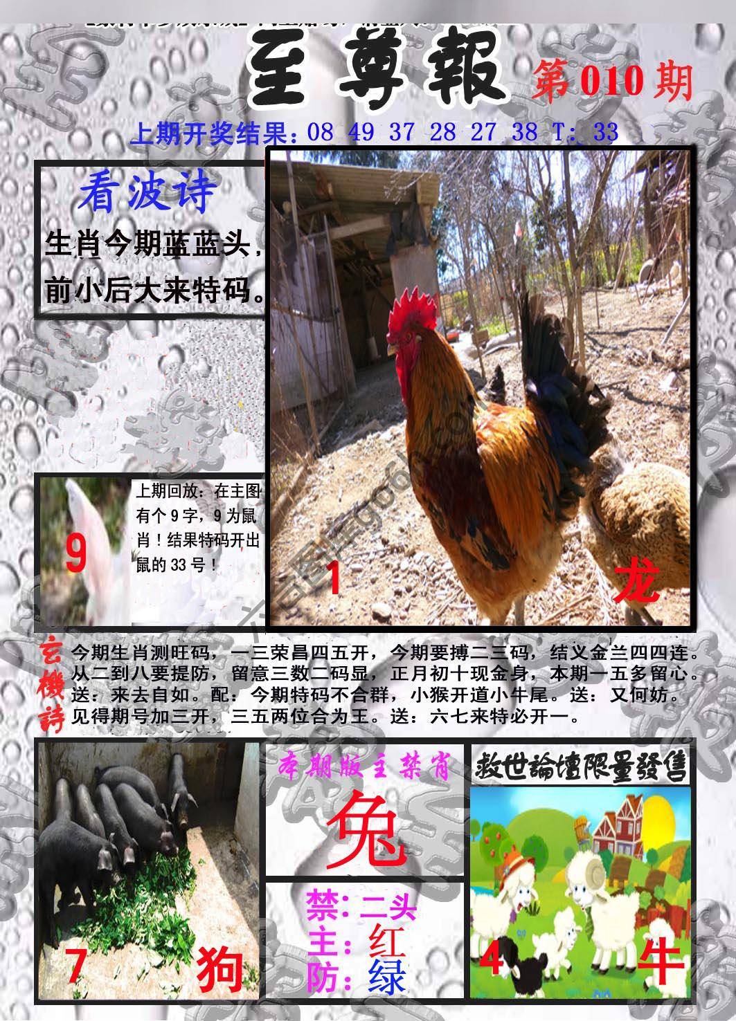 至尊报