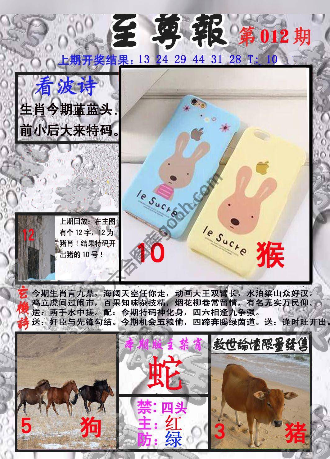 至尊报