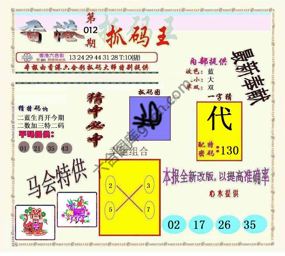 新抓码王