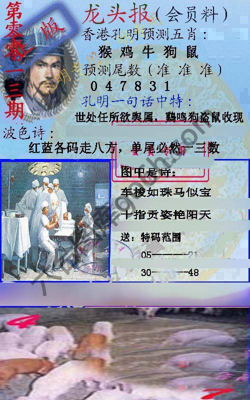 龙头报