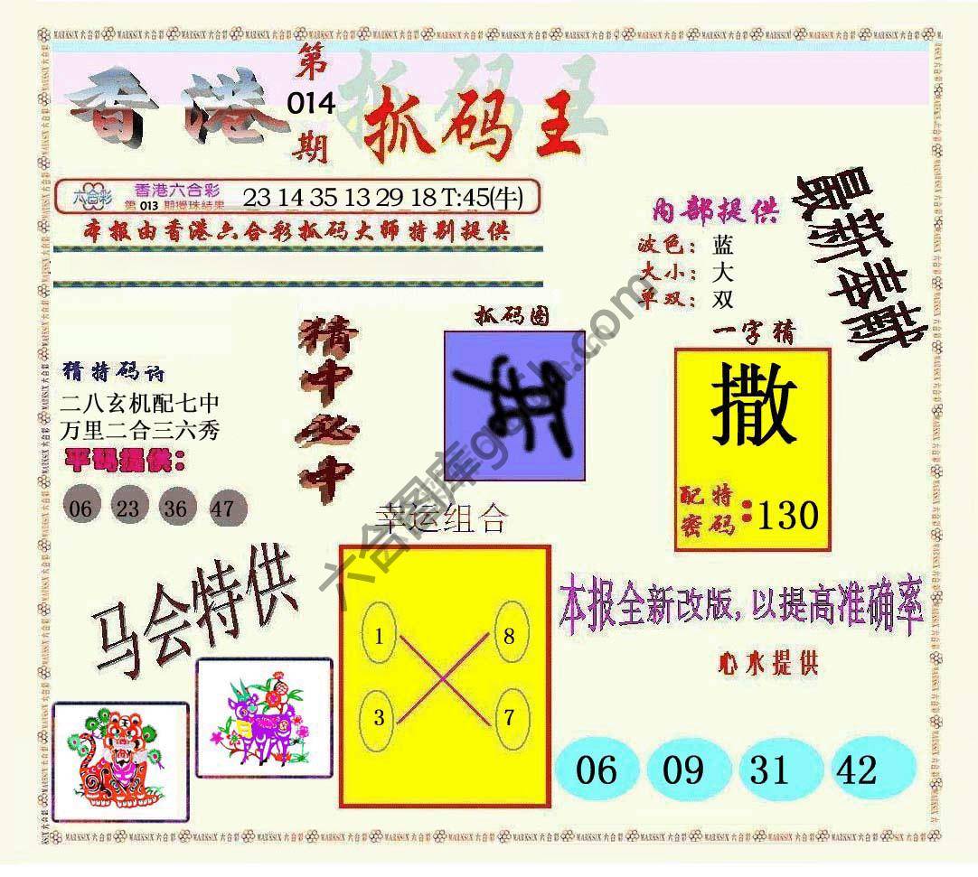 新抓码王