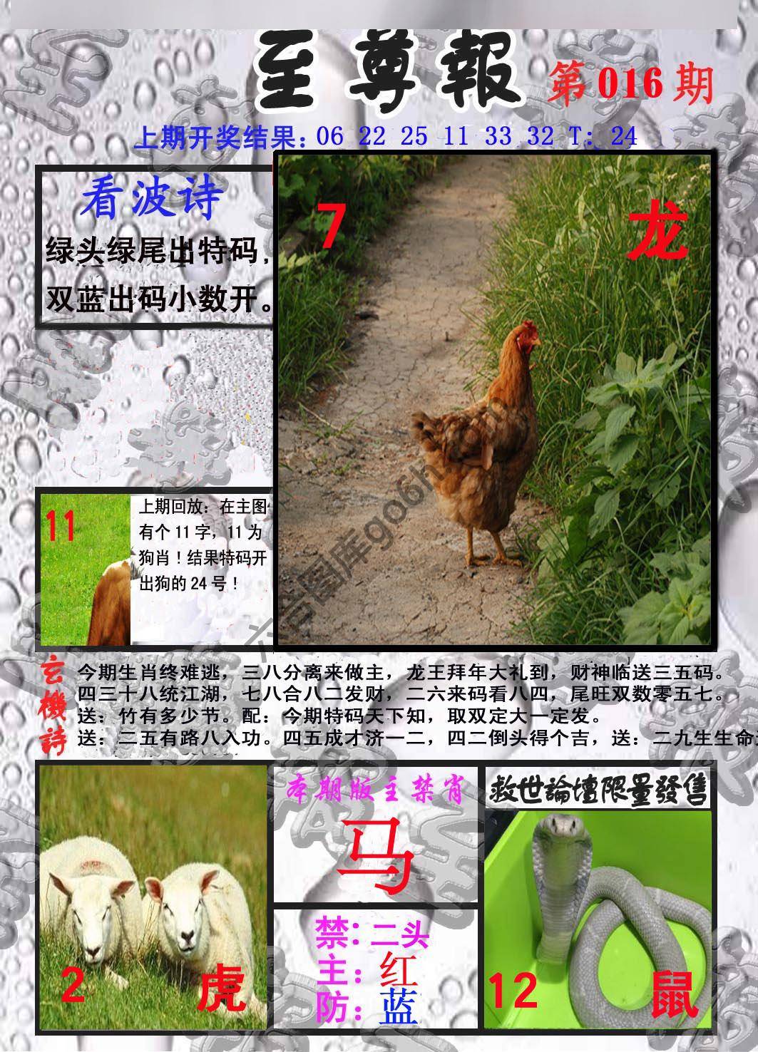 至尊报