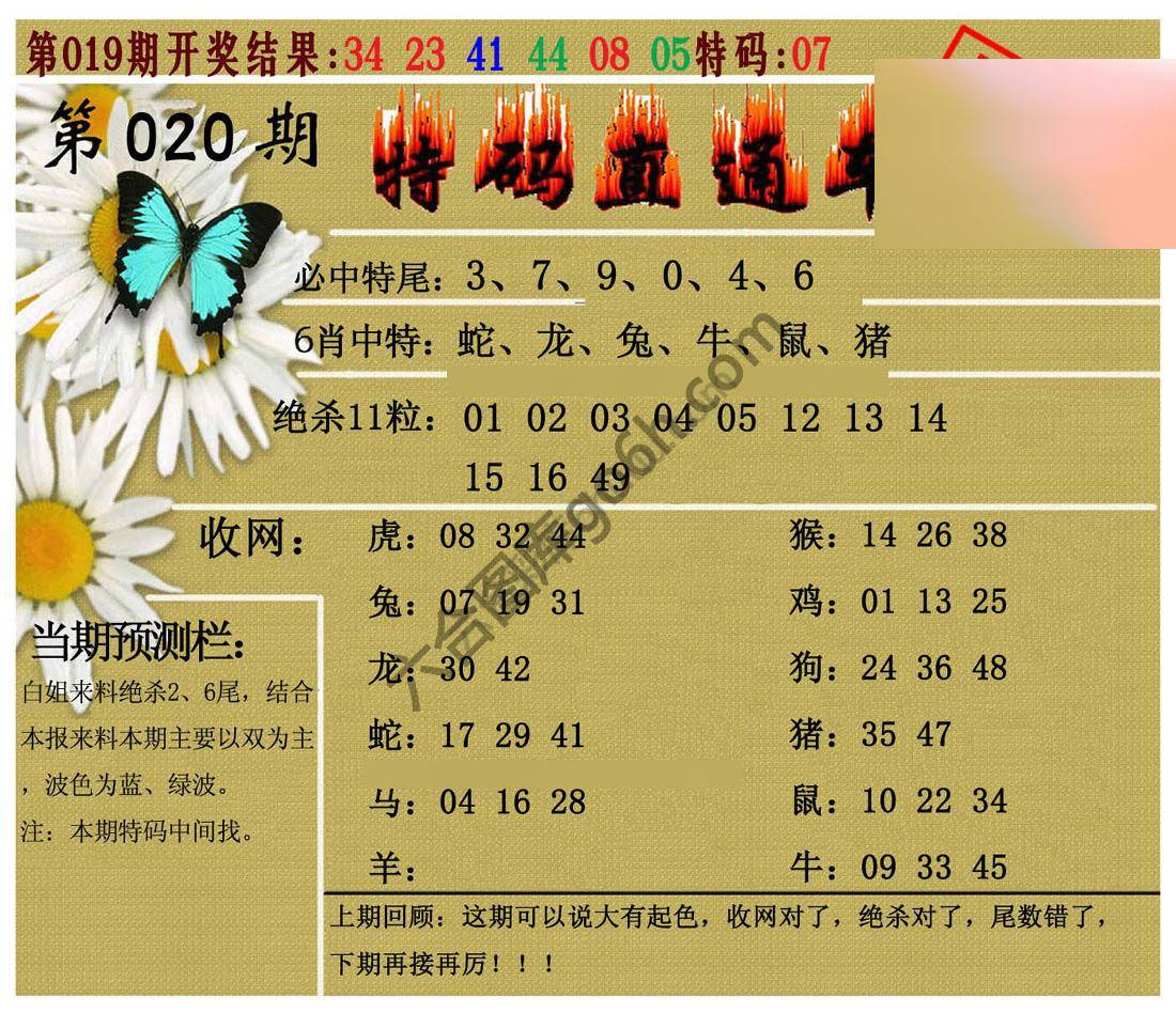 特码直通车