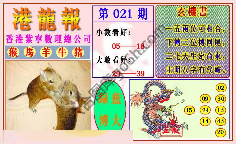 港龙报