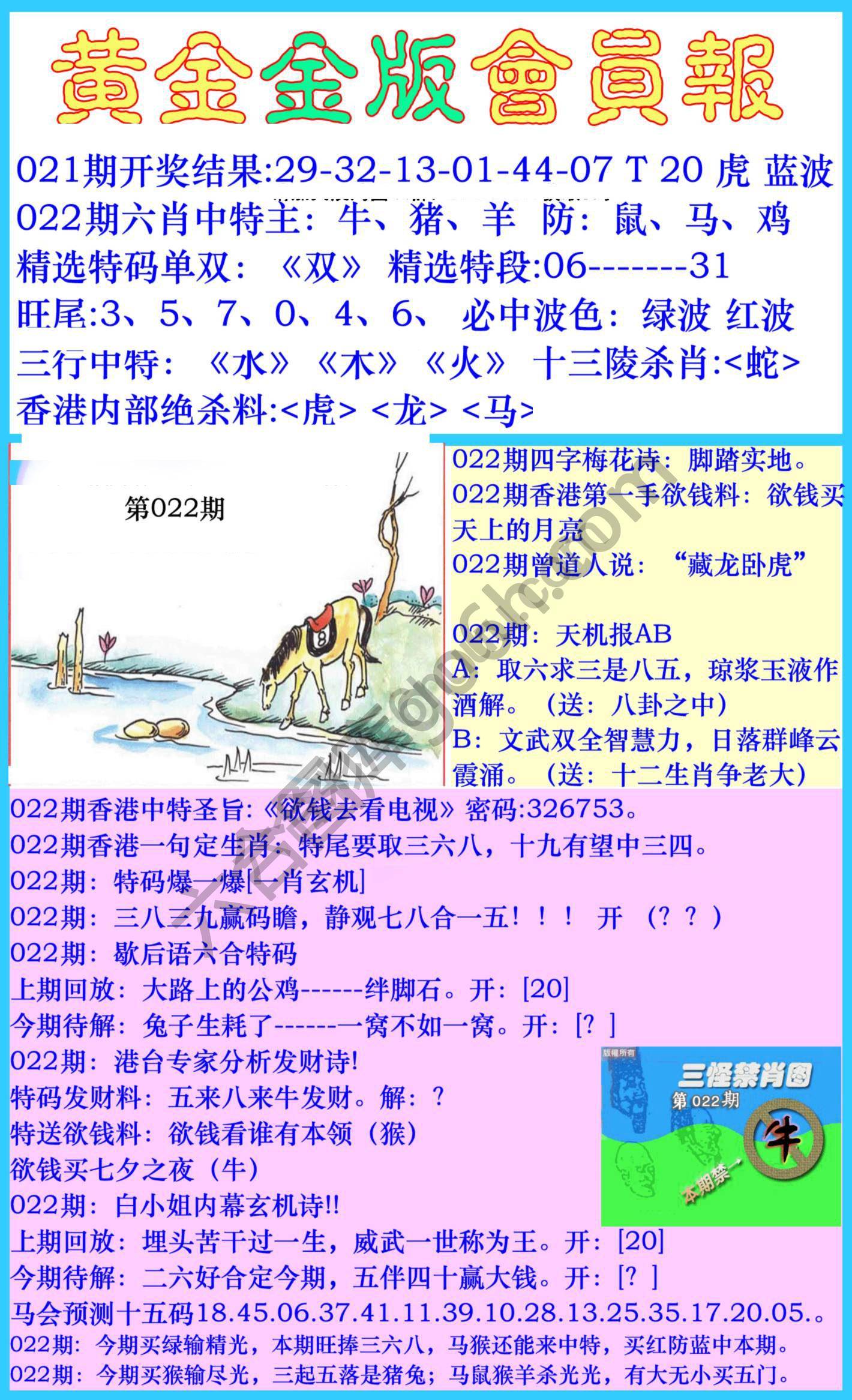 黄金金版会员报