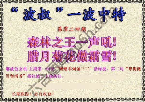 波叔一波中特