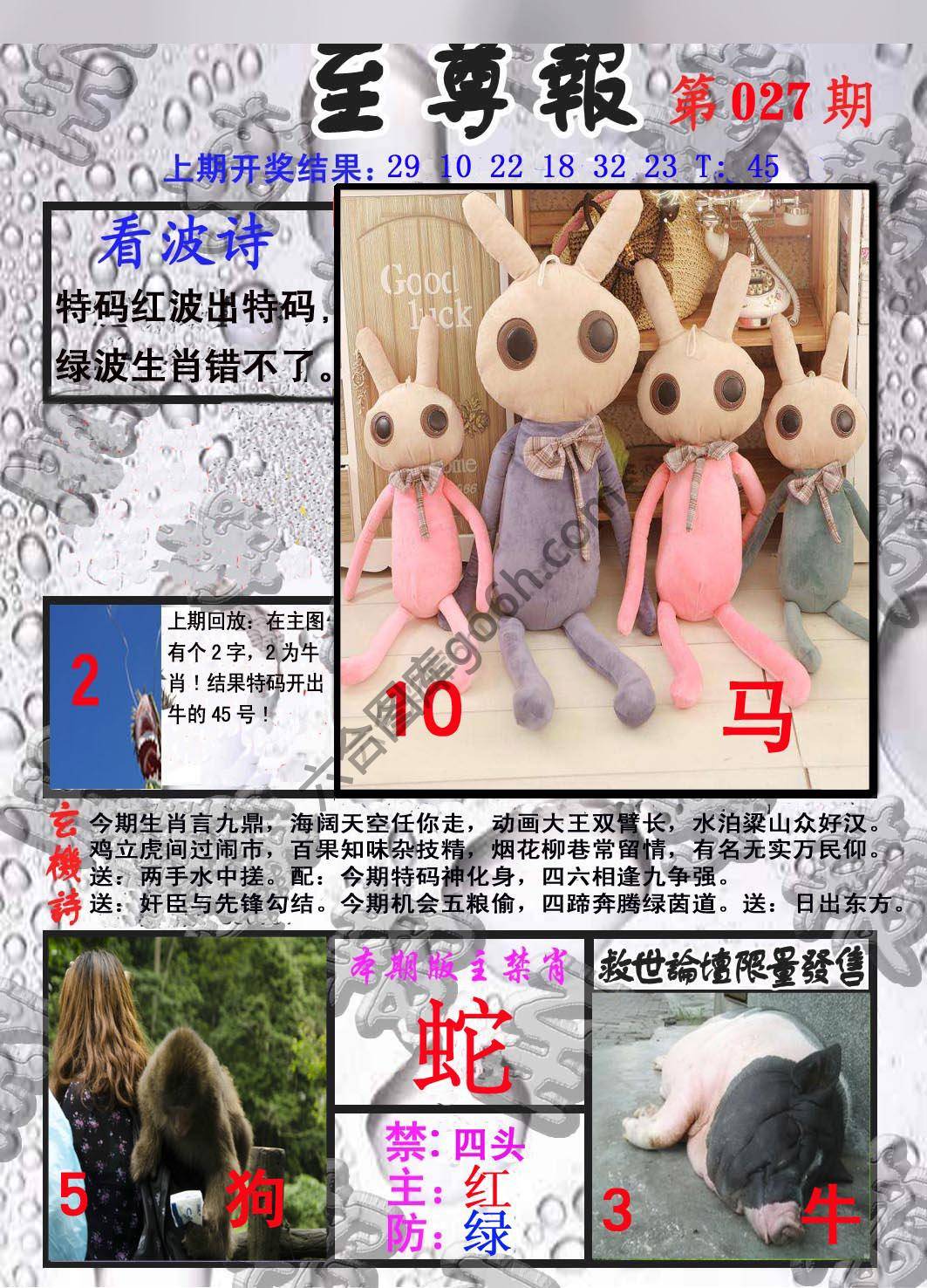 至尊报