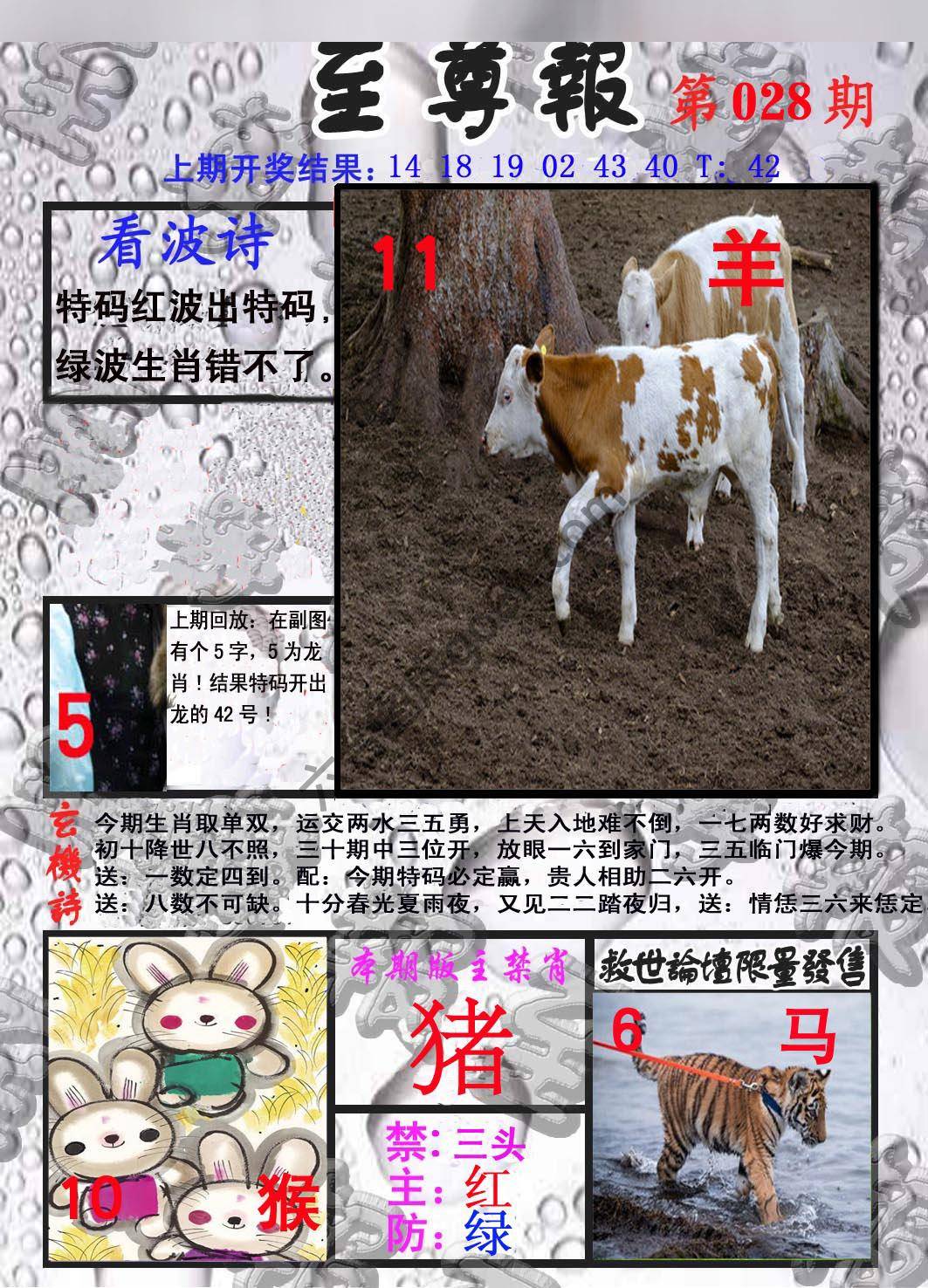 至尊报