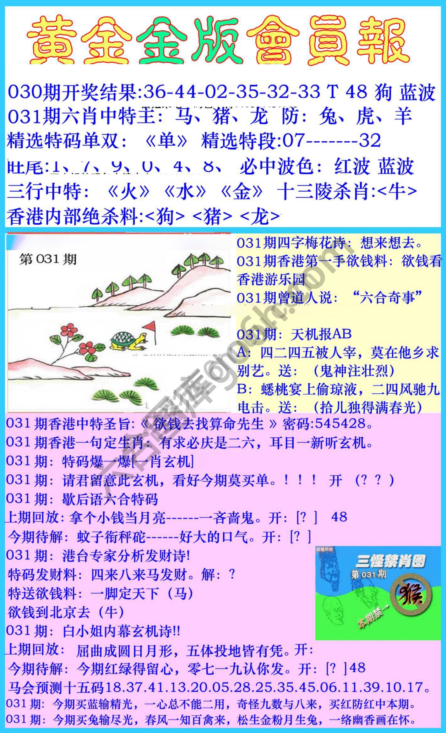黄金金版会员报