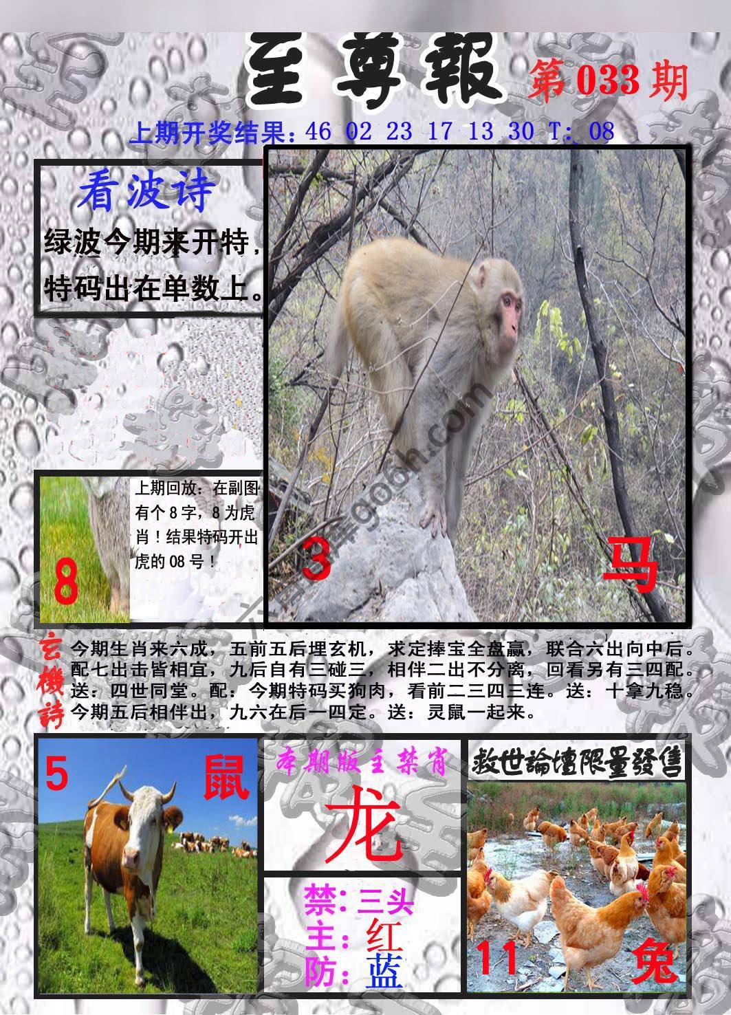 至尊报