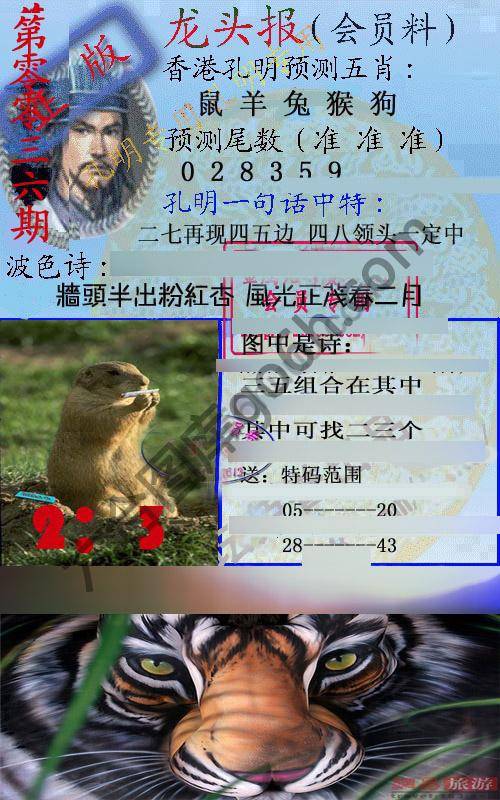龙头报