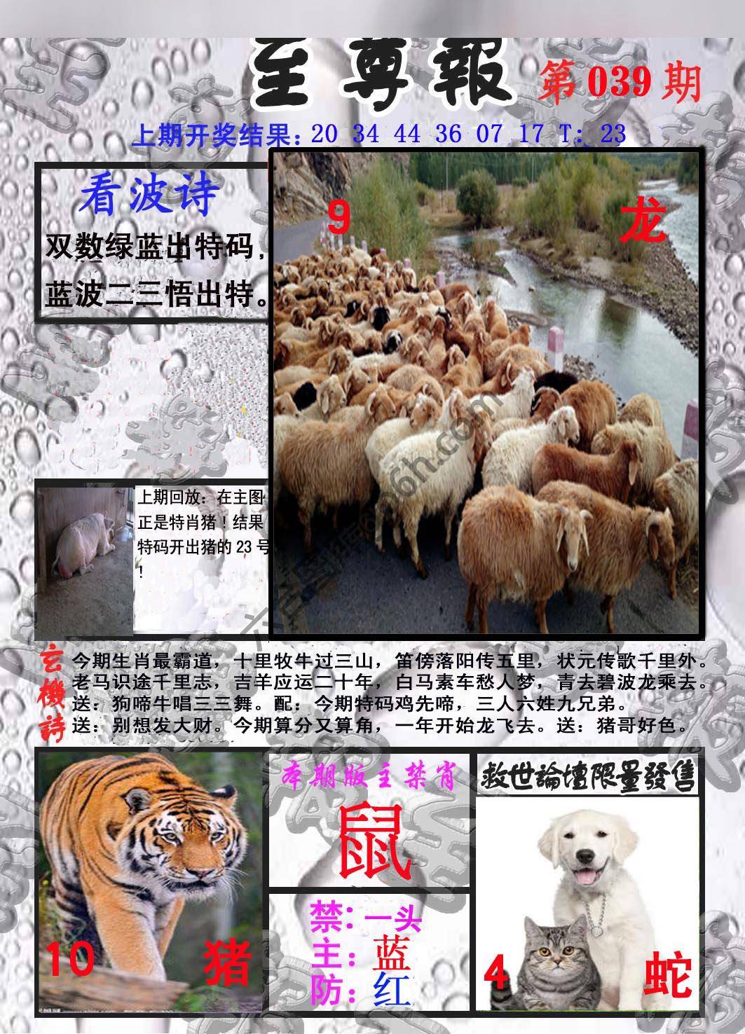 至尊报