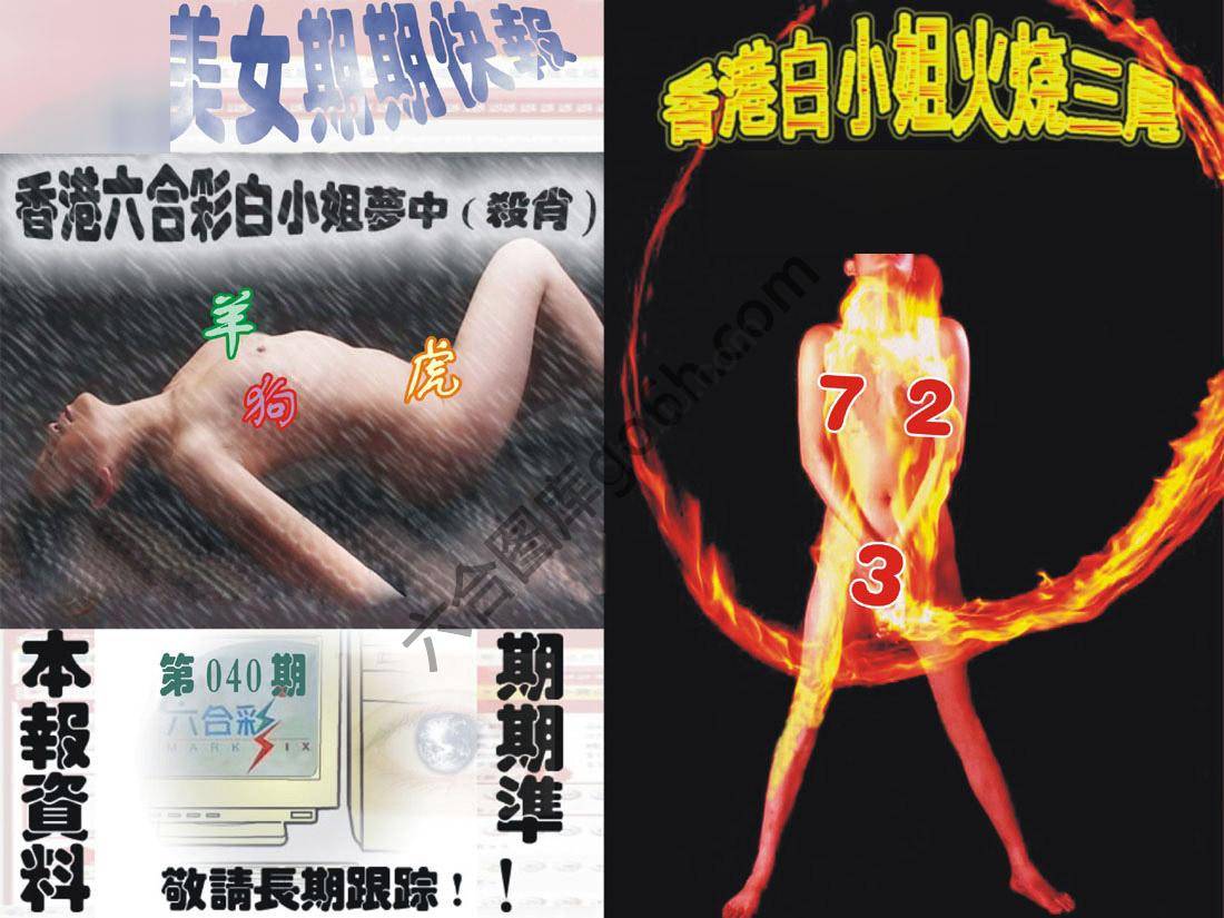 环球美女特码报