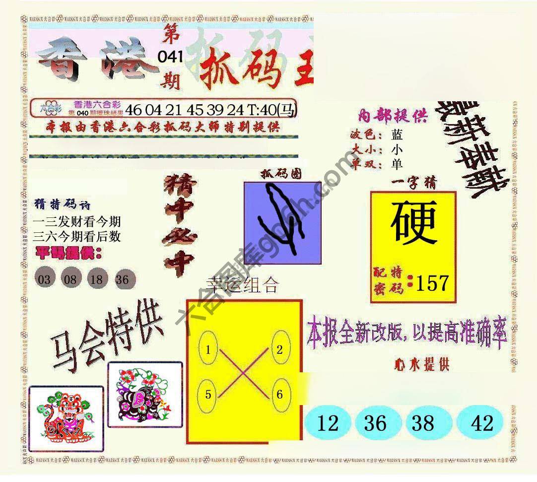 新抓码王