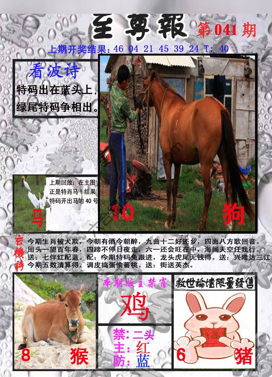 至尊报